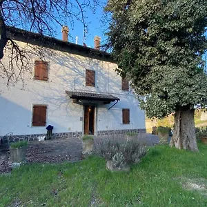 Affittacamere La Casetta Di Pierluigi
