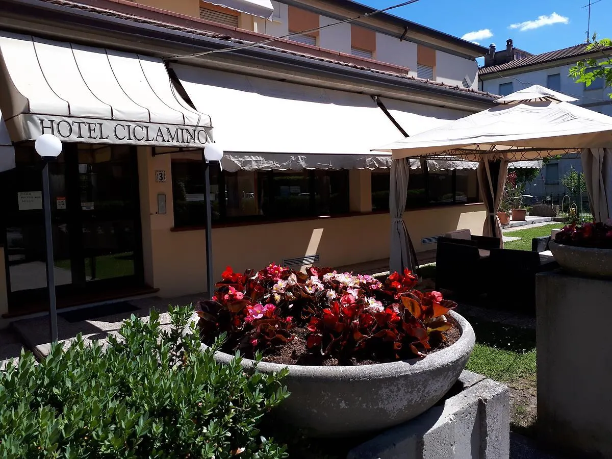 Hotel Ciclamino Riolo Terme 3*,